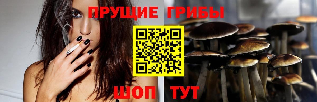 Галлюциногенные грибы Psilocybine cubensis  Вход с VPN  Лесосибирск 